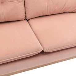 56 in. Wide Pink Modern Velvet Upholstered 2-Seater Loveseat with Rose Golden Metal Legs by HOMEFUN 19 56 in. Wide Pink Modern Velvet Upholstered 2-Seater Loveseat with Rose Golden Metal Legs by HOMEFUN -Cheap LR Home Store pink homefun loveseats hfhdsn 865pk fa 1000